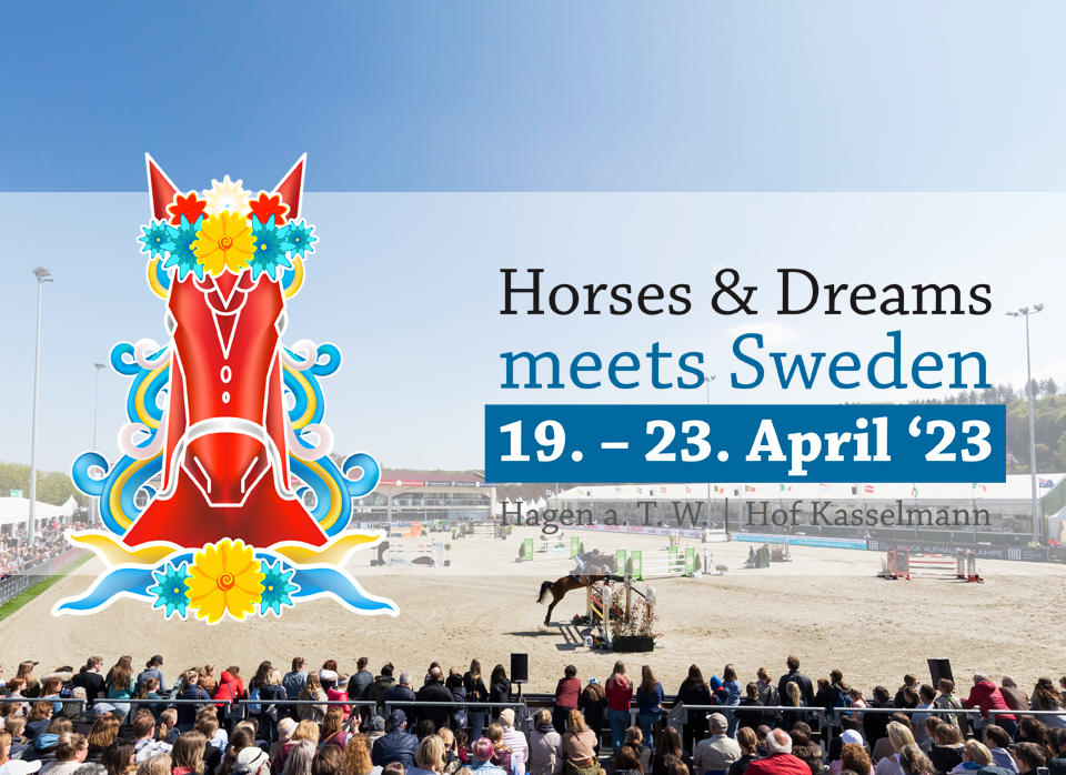 Horses & dreams meets sweden